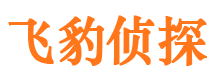 沙市外遇调查取证